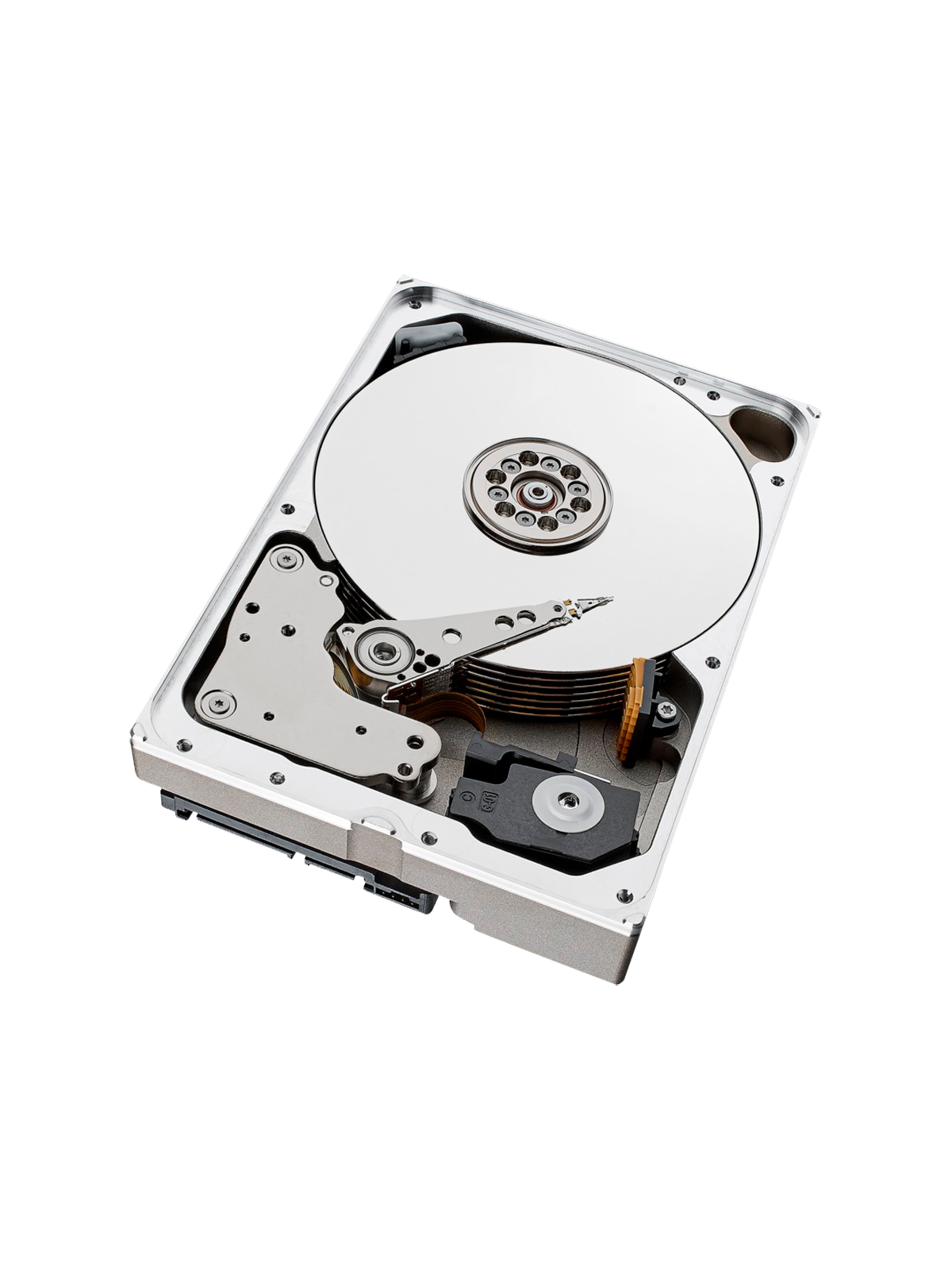 HD10TB-S-AI