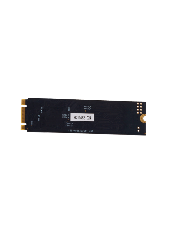 HS-SSD-E100NI-1024G-2280