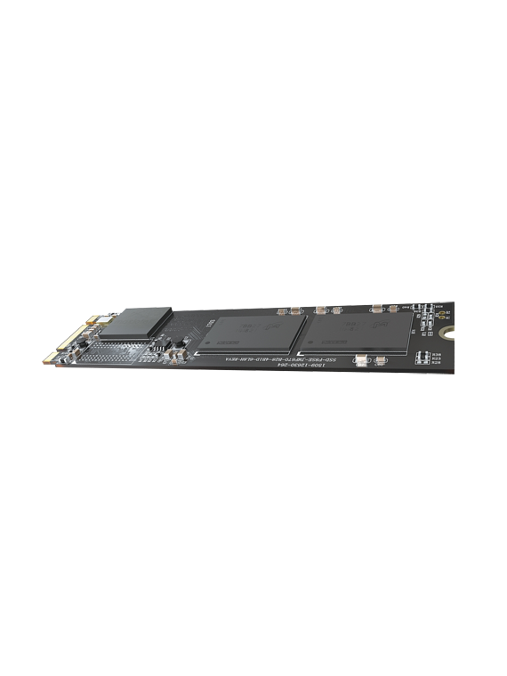 HS-SSD-E100NI-256G-2280