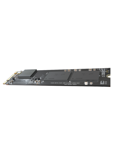 HS-SSD-E100NI-256G-2280