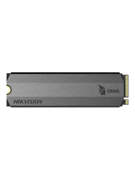 HS-SSD-E2000-256G