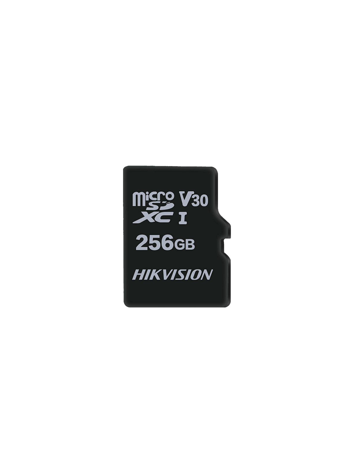 HS-TF-M1STD-256G-V2